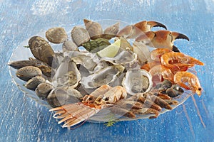 Gastronomy food - seafood platter