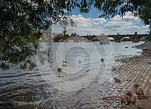 At the gate of Charles Bridge Prague Castle and river Vltava Prague Czech Republic