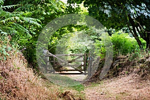 Gate in countryside