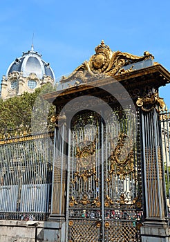 Gate decorated with golden metal in Paris in France