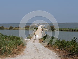 gate of the dirt path through the lagoons