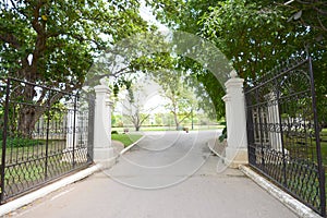 Gate and Drive way