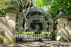 Gate and Driveway