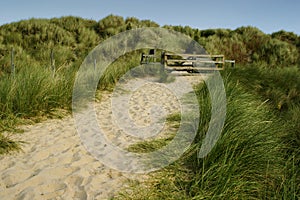 Gate on the Dunes