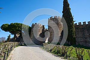 Gate Entrance of Vila Vicosa castle in Alentejo, Portugal photo