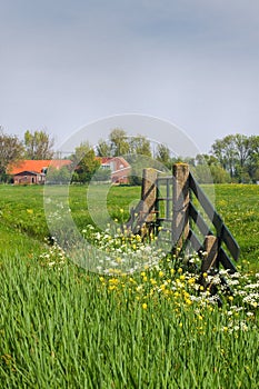 Gate and farm in Dutch country landcape