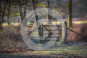 A Gate in Felbrigg Wood Norfolk