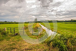 Gate in the foreground of a meadow in a Dutch polder landscape