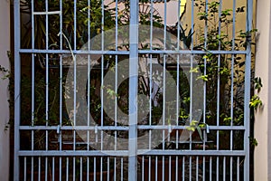 Gate with hanging pots and other plants in the background
