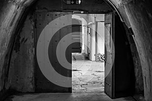 A gate leading to somewhere