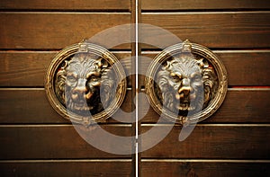 Gate lion decoration