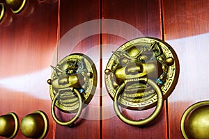 Gate lion decoration