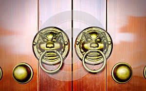 Gate lion decoration