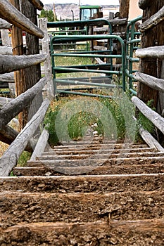 Gate and loading ramp leading out of a corral