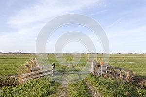 Gate and meadows in waterland near uitdam in noord-holland photo