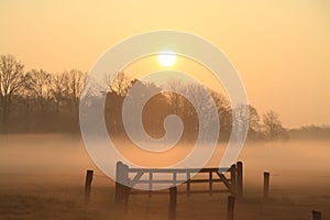 Gate in the mist in the sunrise