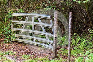 Gate in nature area