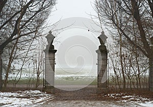 Gate onto a Foggy Field