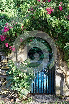 Gate overgrown with roses