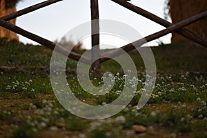 The gate on the road of flowers photo