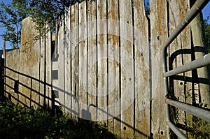Gate shadows appear on an old weathered woodfence