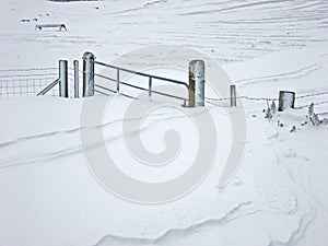 Gate with snow halfway up it fence in a field on a farm