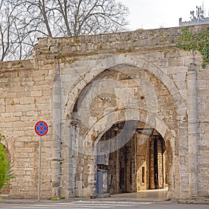 Gate Stambol Vidin Bulgaria photo