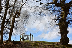 A gate on the horizon, with no fence either side photo