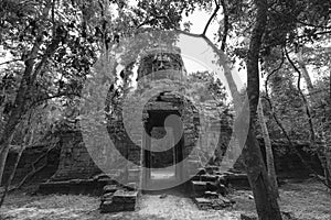 Gate of Ta Prohm temple, Angkor Wat, Cambodia