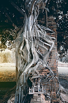 Gate of time of Wat Phra Ngam ancient temple.