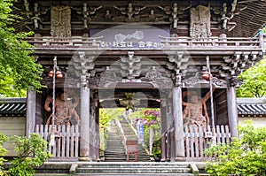 Puerta sobre el Budista templo de en isla, Japón 