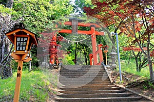 Gate to Chureito Pagoda, Arakura Sengen Shrine, in Japan