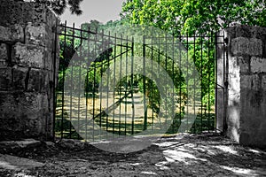 Gate to the Forest