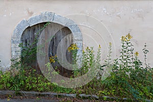 Gate to an old wine cellar