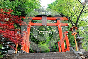 Gate to stairway of Chureito Pagoda, Arakura Sengen Shrine in Japan photo