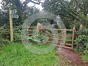 A Gate to a Woodland path though a ancient  thoroughfare Devon uk
