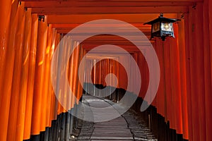 Gate tunnel at Fushimi Inari Shrine - Kyoto, Japan