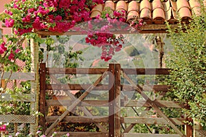 Gate with vegetation and blooming bounganville  small community of CabeÃ§a de Boi village in Minas Gerais