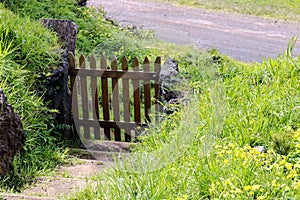 Gate wooden and a green meado . photo
