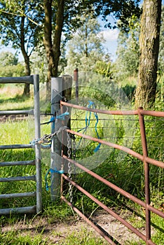 Gates locked with a chain and blue ropes from close