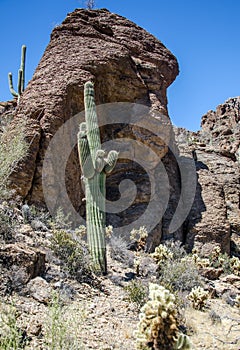 Gates Pass Trail Tucson Arizona
