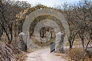 Gates on the by-road in the woods