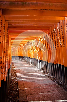 Gates tunnel