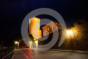 Gates of wawel Royal Castle in Krakow, Poland