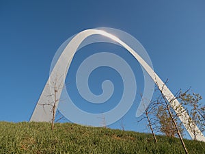 Gateway Arch with a Tree and Bird`s Nest in the Foreground