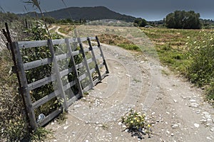 Gateway off Kremasti Beach Rhodes Greece photo