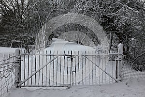 Gateway in snowy woodland