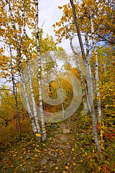 Gateway to an October Trail