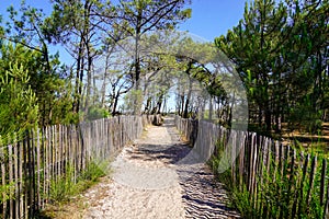 Gateway to sea beach scenic dunes protect by fence on bright summer day in lacanau ocean atlantique France