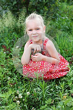 Gathering berries